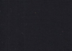 Black Plain